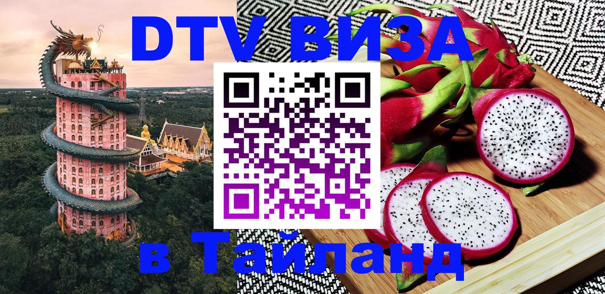 Сколько стоит DTV виза — актуальные цены, оформление даже без документов - Новосибирск 
